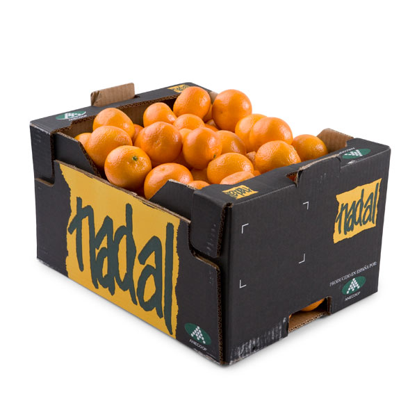 Ekologiska Apelsiner 15 kg