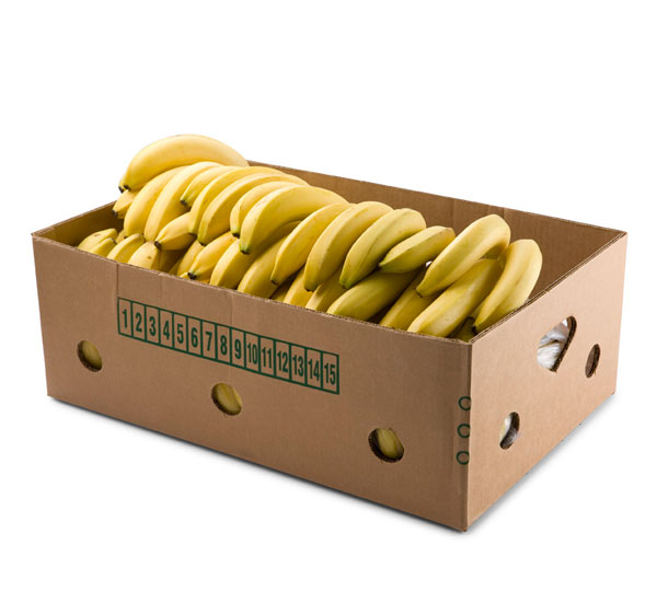 Bananer 18,5 kg
